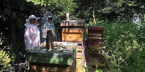 Introduction to Beekeeping