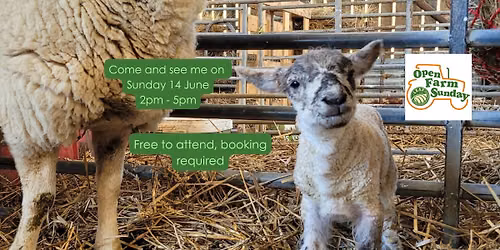 Open Farm Sunday at South Farm Rodmell