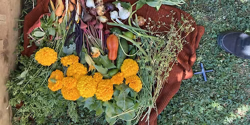All Ages Community Gardening (Kids + Family friendly)