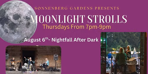 Moonlight Strolls- Nightfall After Dark