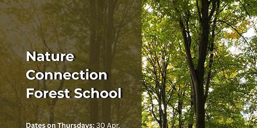 Nature Connection Forest School