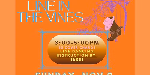 Line Dancing with Terri