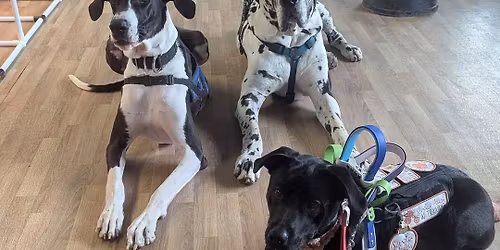 Welcome and Assessment for potential new members.