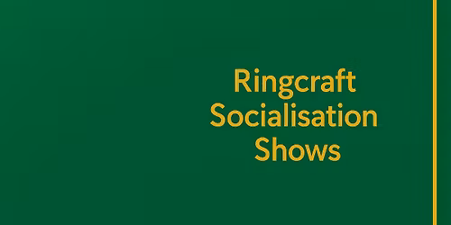 Xmas Family Fun Dog Show