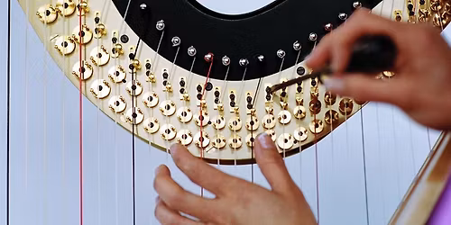 Winter Harp Service Time!