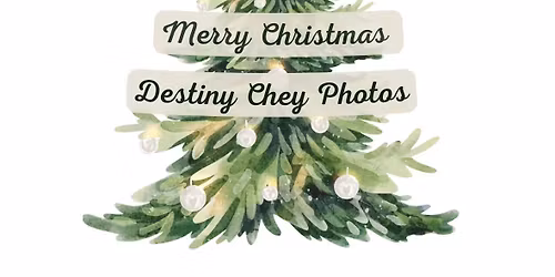 Christmas Photos at The Village