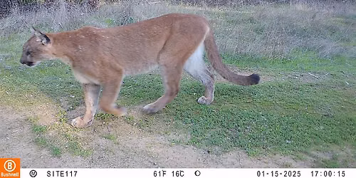 Wildlife tracking hike in the Sonoma Valley