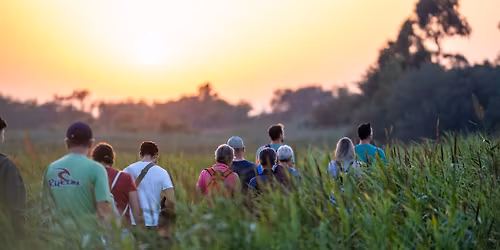 Confer\u00eancia "O Ru\u00eddo Ambiente: O Poluente Esquecido"