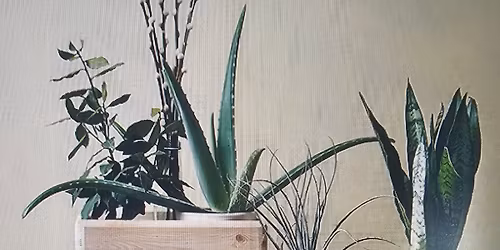 Brand new Two Planters