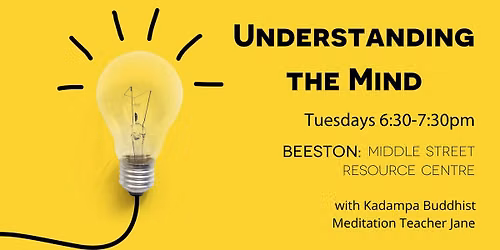 Understanding the Mind