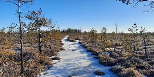 Tere tali ehk talvine p\u00f6\u00f6rip\u00e4ev Emaj\u00f5e-Suursoos (r\u00e4\u00e4tsamatk)