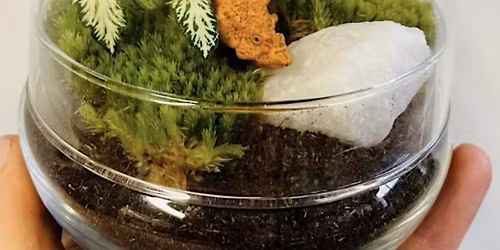 Jurassic Egg Terrarium Workshop