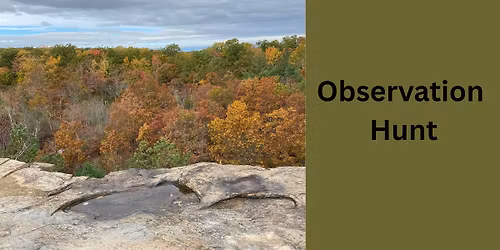 Observation Hunt