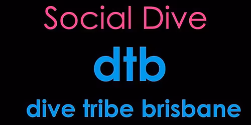 Dive Tribe Social NIGHT DIVE - 5th December 2026
