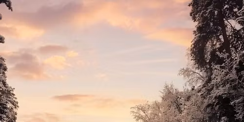 8 \u10db\u10d0\u10e0\u10e2\u10d8\u10e1 \u10e2\u10e3\u10e0\u10d8-\u10e1\u10d0\u10e9\u10e3\u10e5\u10d0\u10e0\u10d8 \u10e5\u10d0\u10da\u10d1\u10d0\u10e2\u10dd\u10dc\u10d4\u10d1\u10d8\u10e1\u10d7\u10d5\u10d8\u10e1