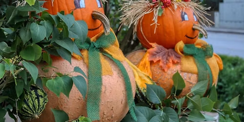 No-Carve Pumpkin Party