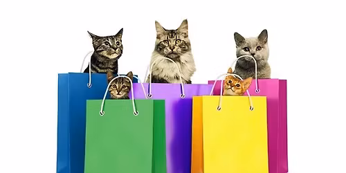 \u05d4\u05d1\u05d32 - \u05d9\u05e8\u05d9\u05d3 \u05e2\u05e9\u05e8 \u05e9\u05e0\u05d9\u05dd \u05dc\u05de\u05e8\u05db\u05d6 \u05d4\u05e7\u05d4\u05d9\u05dc\u05ea\u05d9