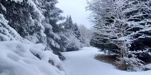 UNA BEFANA DA LUPI nella grande Sila