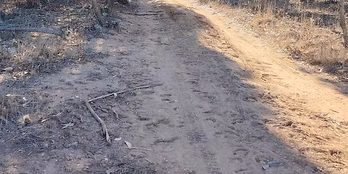 Por trilhas de A dos Cunhados (PARTE II), em "caminhadas \u00e0 borla em "CAMINITOS D'EL JO\u00c3O".