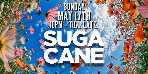SUGA CANE