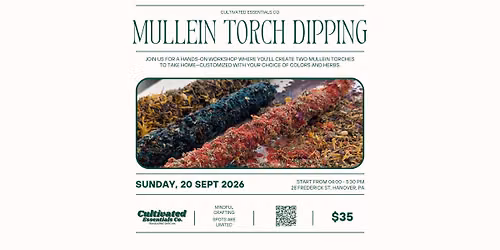 Mullein Torch Dipping | Sept 20