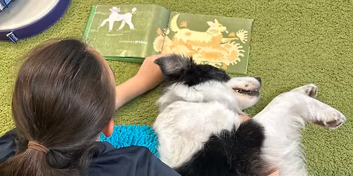 Reading Buddies