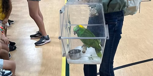 Animals In The World 