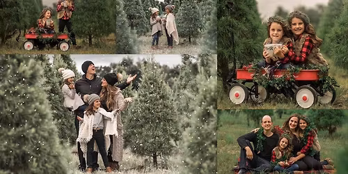 Christmas Tree Farm Photoshoots | Spring Hill, FL