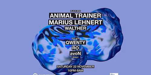 Animal Trainer \/ Marius Lehnert \/ Walther \/ Debut: Qwenty \/ RO \/ avoN