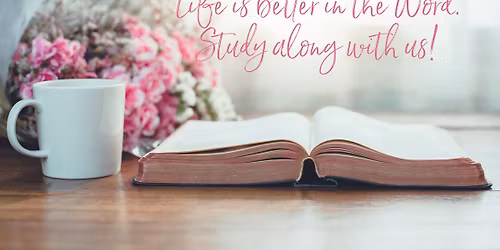 Women's Bible Study Group