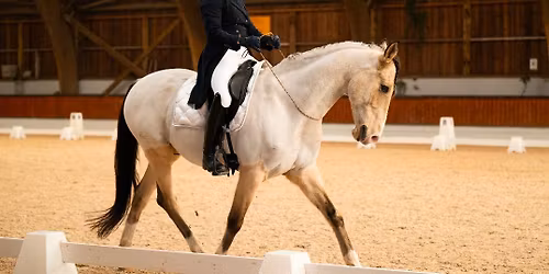 Concours de dressage sans mors (et longues r\u00eanes )