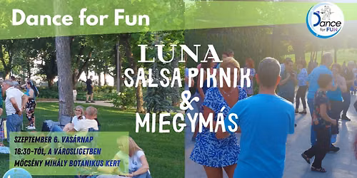 Salsa Piknik a V\u00e1rosligetben - Dance for Fun
