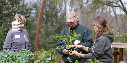 Meet Me at the Garden