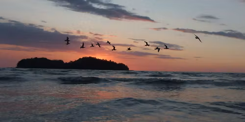 Sofiane Pamart in Roubaix