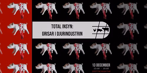 \ud83d\udc37 Manifestation f\u00f6r grisarna inf\u00f6r julen