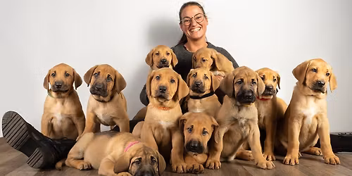 DKK - Herning - Winter Wonder