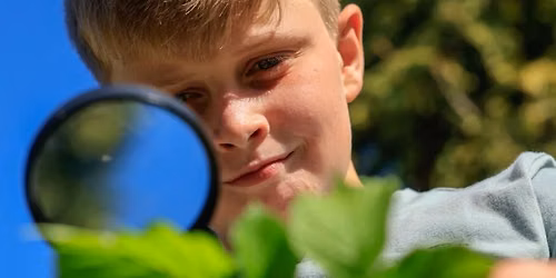Wild Wednesday Nature Detectives