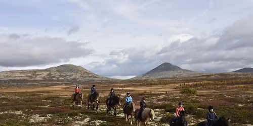 Gutsy Girls Holiday | Norway Horse Riding and Yoga Holiday for Experienced Riders