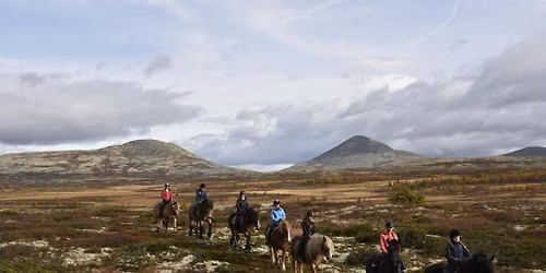Gutsy Girls Holiday | Norway Horse Riding and Yoga Holiday for Experienced Riders