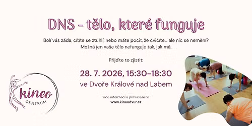 DNS - t\u011blo, kter\u00e9 funguje