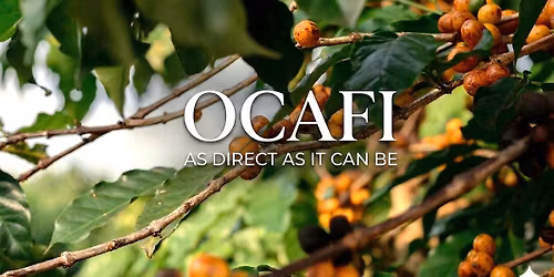 Friday Ocafi Cupping at Amsterdam Coffee Festival