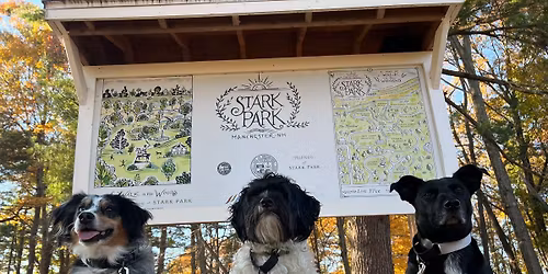 Free Weekly Dog Walking Club - Manchester, NH