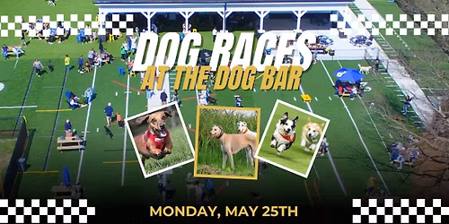 Memorial Day Dog Races