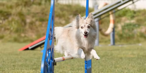 DobroJumpy v \u010ceb\u00edn\u011b - charitativn\u00ed z\u00e1vody pro \u00fatulek