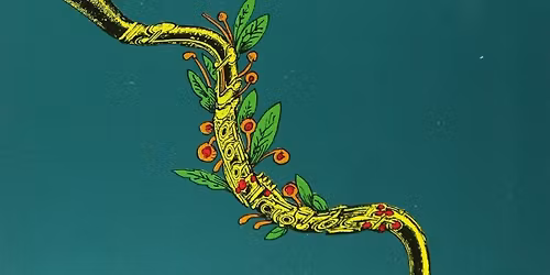 Anat Cohen Tenet at Mondavi Center