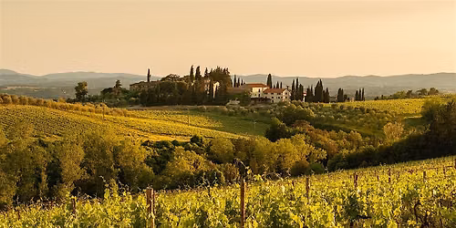 Wine & Cheese: Central Italy
