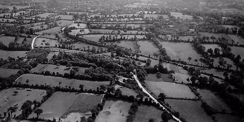 D-Day -Battle in the Bocage (hedgerows of Normandy)