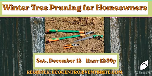 Winter Tree Pruning for Homeowners