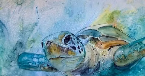 Visions in Watercolor