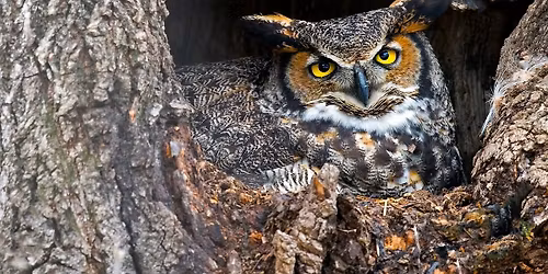 Field Trip: Forest Hill Cemetery